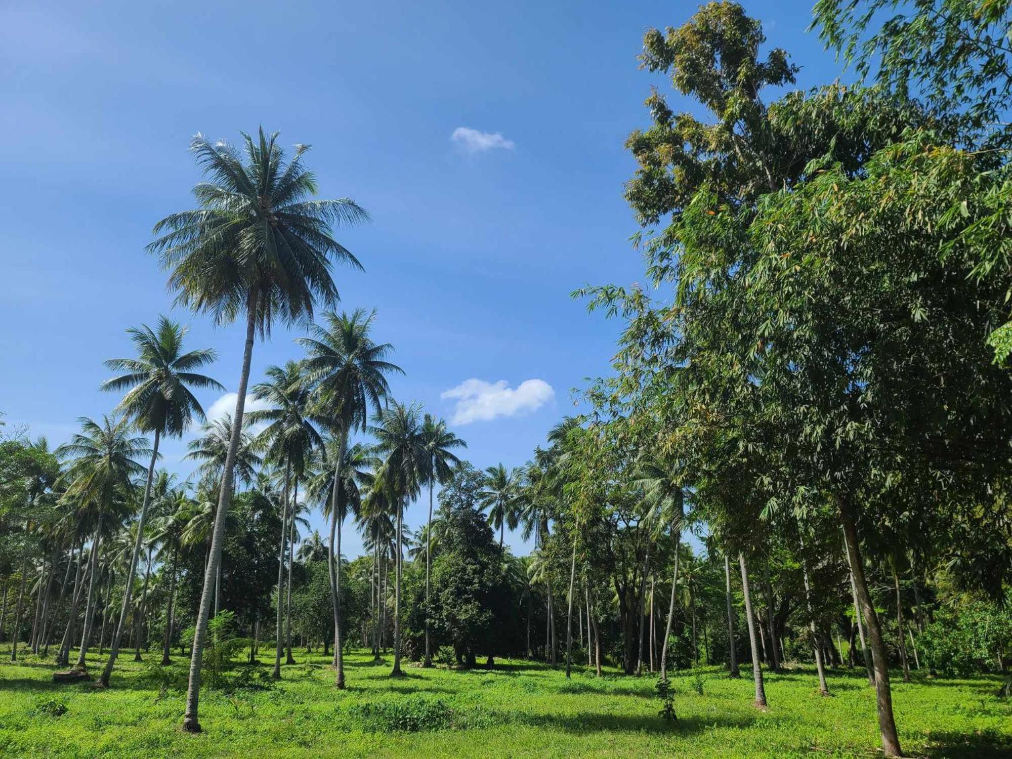 The Secret Garden Homestay Koh Yao Yai Ko Yao Yai Exterior photo