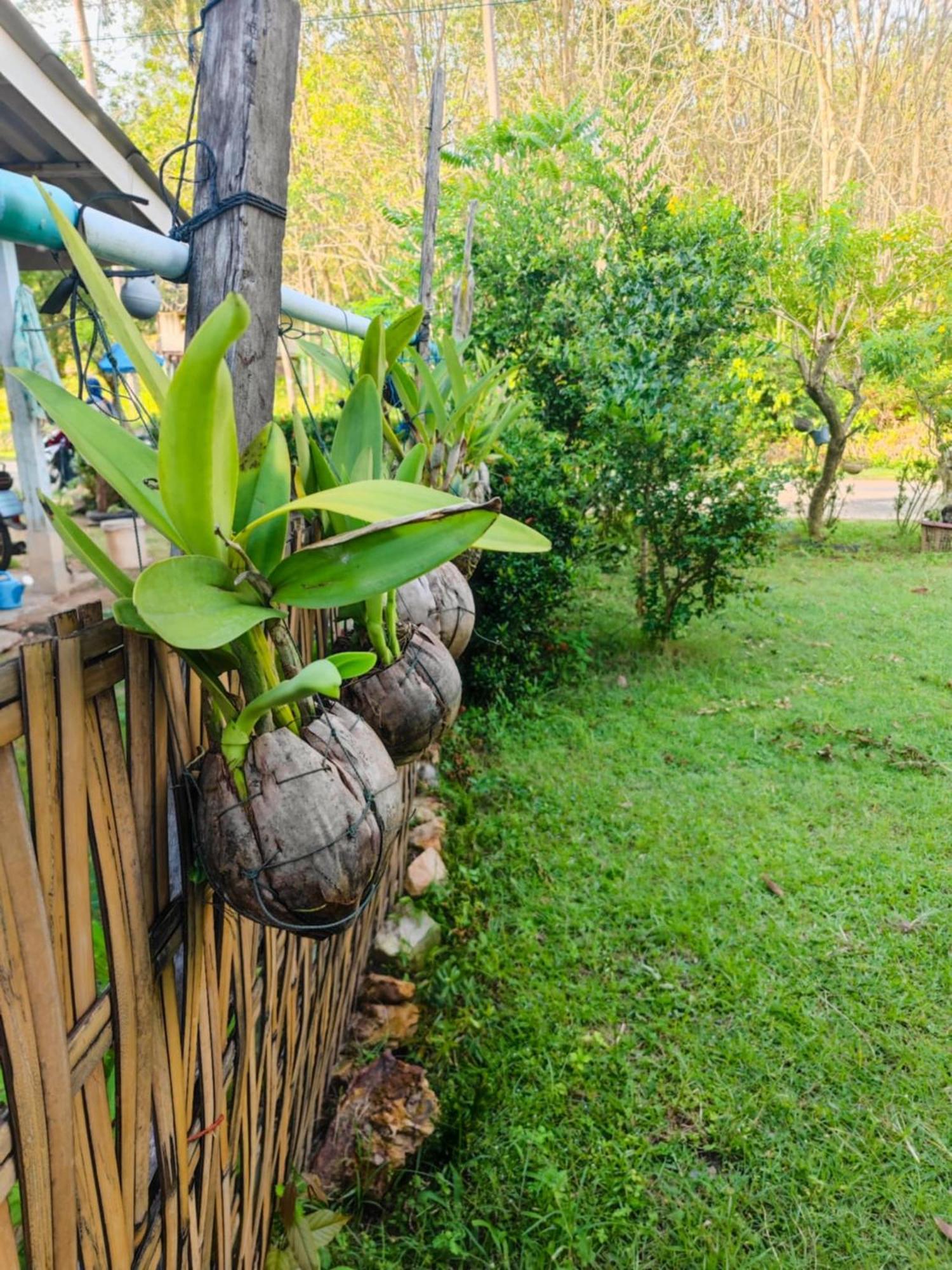 The Secret Garden Homestay Koh Yao Yai Ko Yao Yai Exterior photo