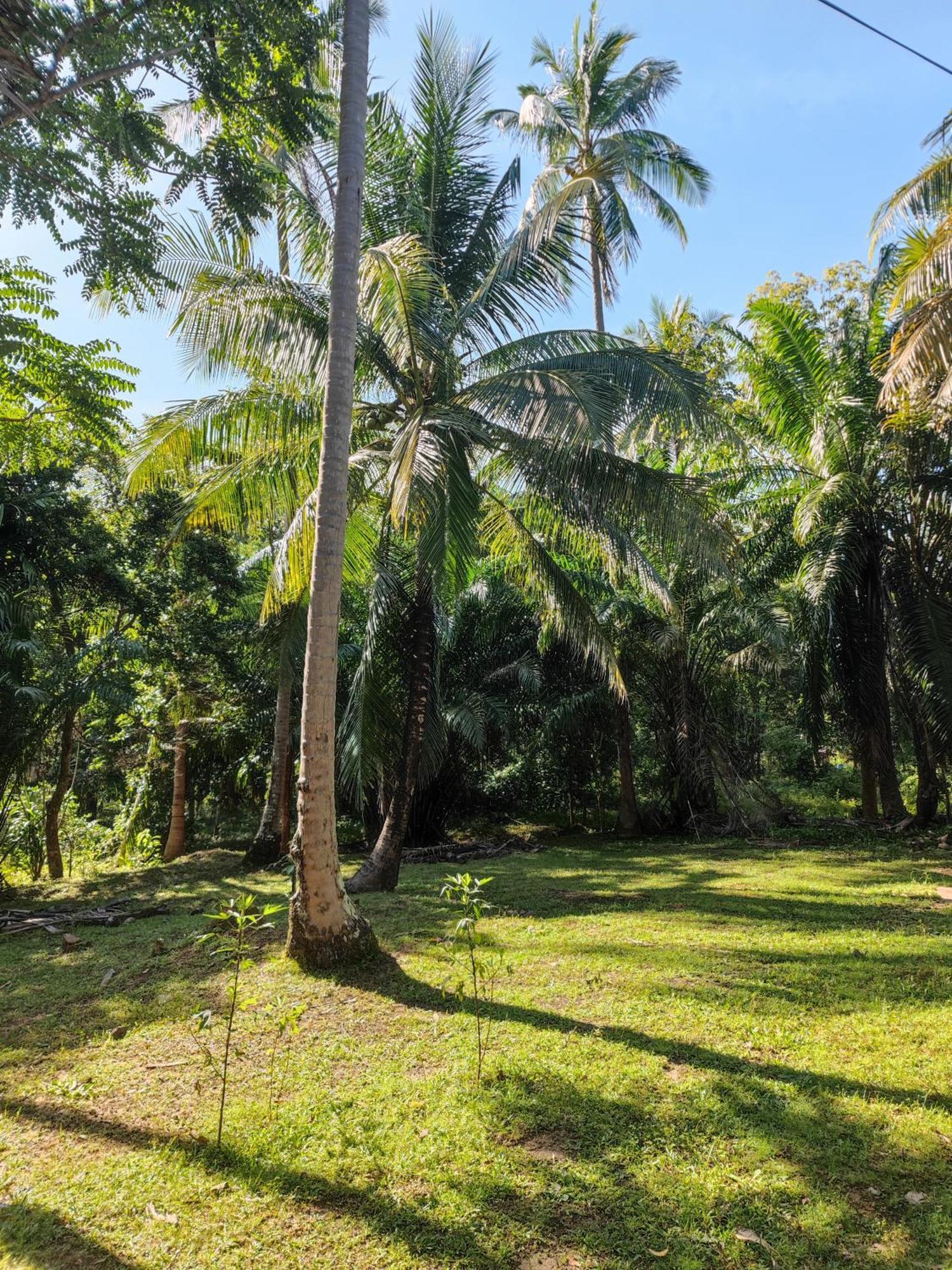 The Secret Garden Homestay Koh Yao Yai Ko Yao Yai Exterior photo