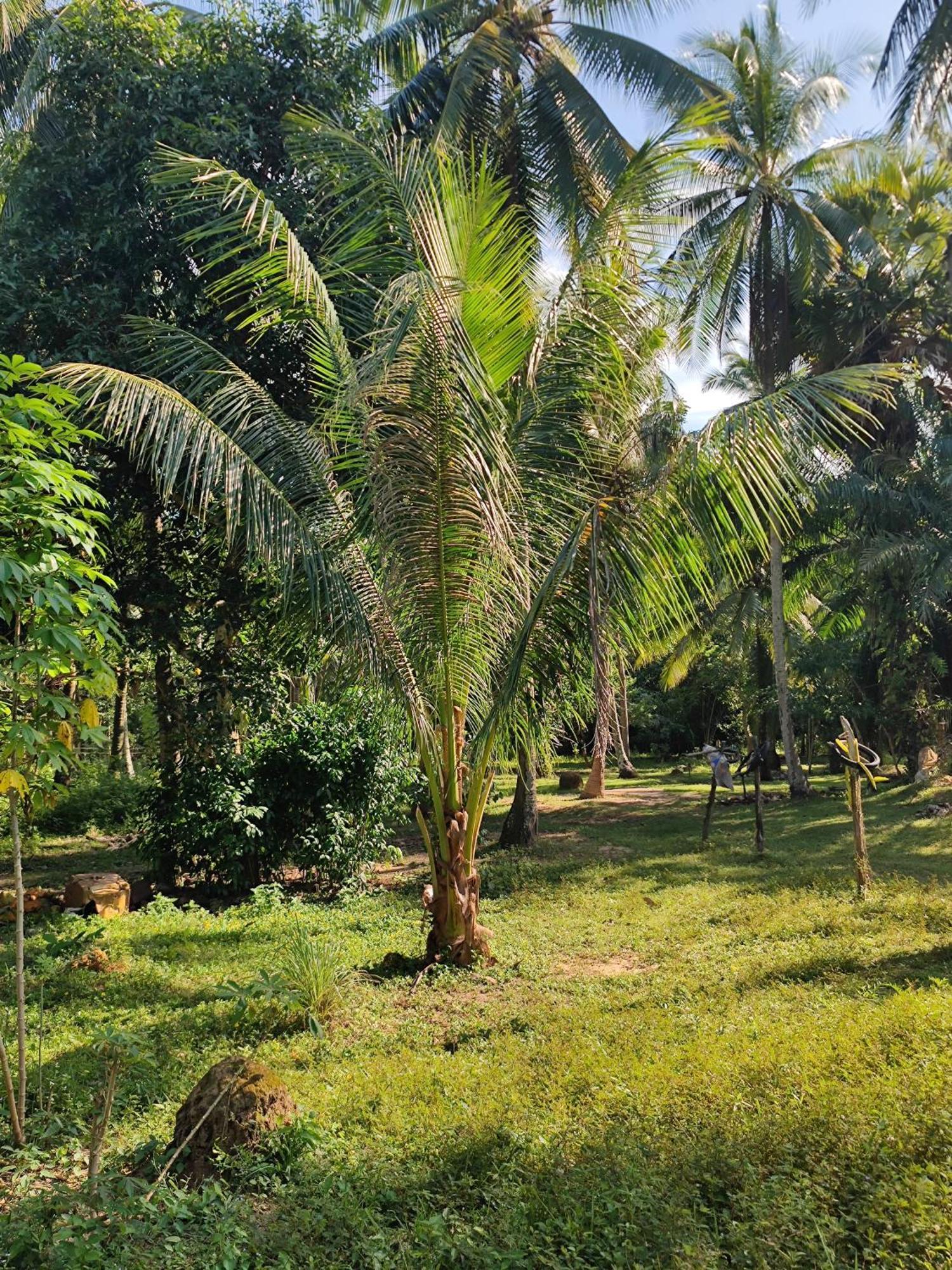 The Secret Garden Homestay Koh Yao Yai Ko Yao Yai Exterior photo